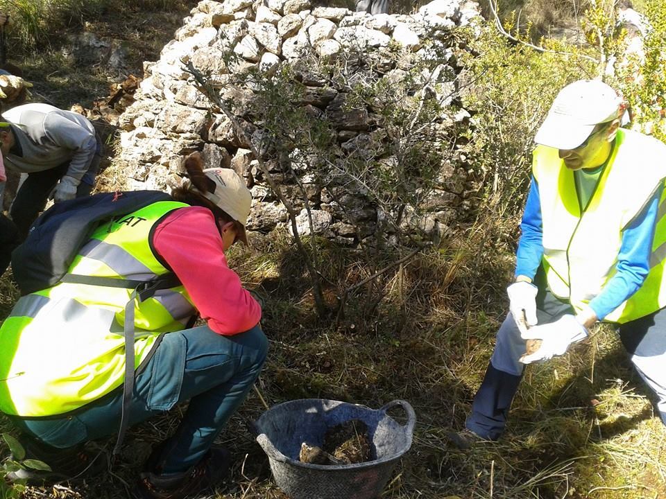 Recuperació i artialització d’una barraca de vinya a Puigmoltó