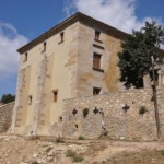 Seguiment del regenerat natural i plantació de pins a la finca de Can Bosc