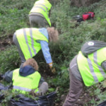 Restauració i revegetació de la urbanització del Mas de la Mata.