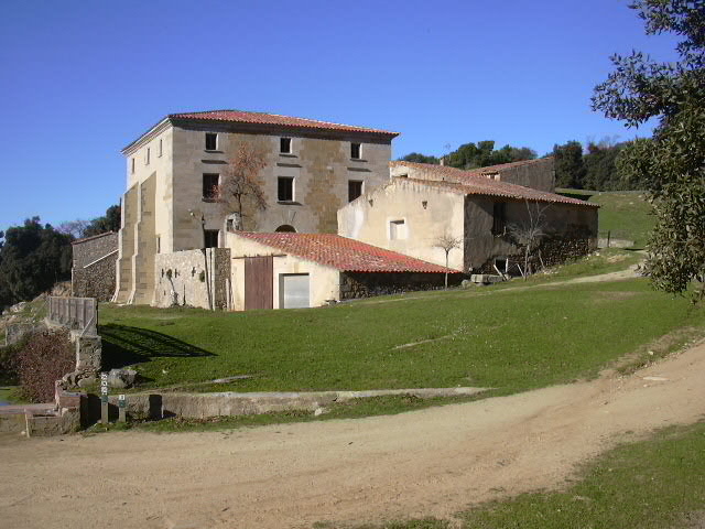 Replantació espècies a Can Bosc