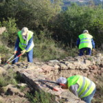 Millora ambiental i suport a les excavacions del poblat ibèric de les Maleses