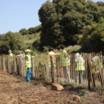 Desmantellament de tancats obsolets a la zona del llac al Parc del Castell de Montesquiu
