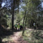 Millora de l'itinerari de la Pleta. Poda de la vegetació de l'itinerari botànic, neteja de la brossa de l'entorn