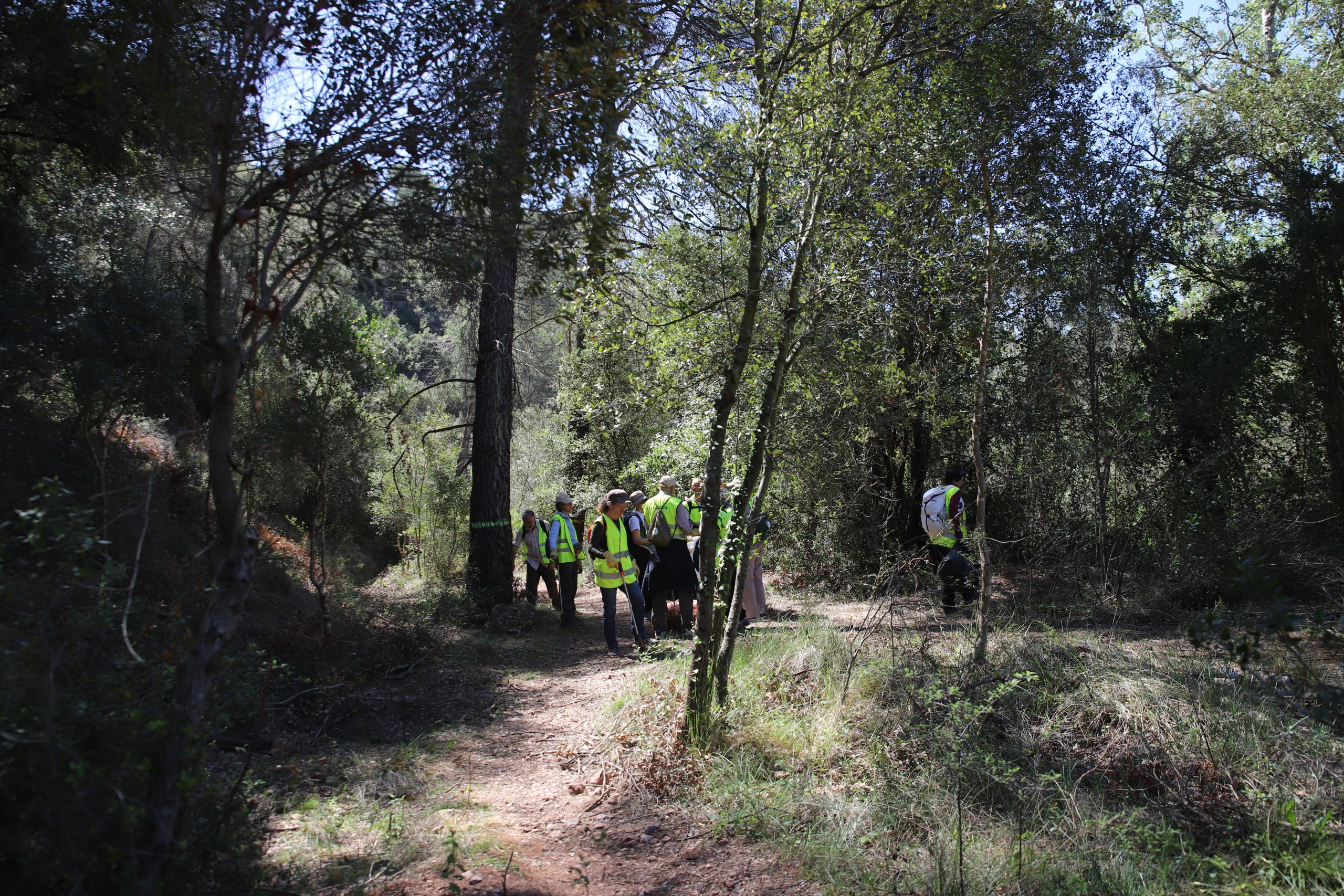 Millora de l'itinerari de la Pleta. Poda de la vegetació de l'itinerari botànic, neteja de la brossa de l'entorn