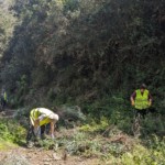 Neteja i manteniment del camí de la carena del Pagès